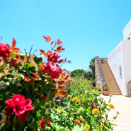 Villa Andromeda อามอร์โกส ภายนอก รูปภาพ